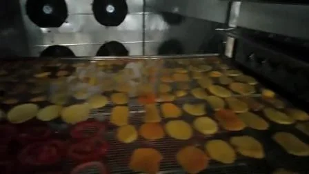 Máquina secadora industrial de frutas y verduras de varios tipos de secado de tomates y pescados