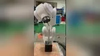 Paletizador mecánico del brazo del robot de la selección y del lugar robótico del robot de Shenzhen Mingqi